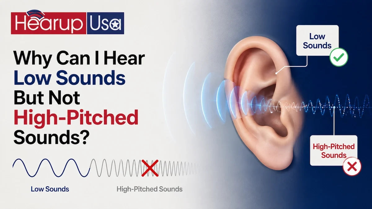 Why Can I Hear Low Sounds But Not High-Pitched Sounds?