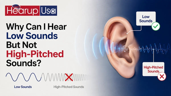 Why Can I Hear Low Sounds But Not High-Pitched Sounds?